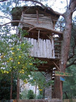 Bayrams Tree Houses Olympos Quarto foto
