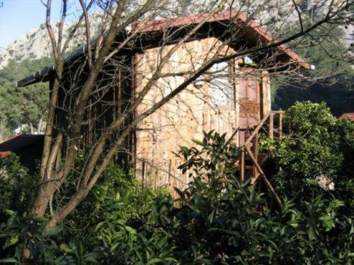 Bayrams Tree Houses Olympos Quarto foto